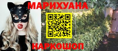 не бодяженный Гай