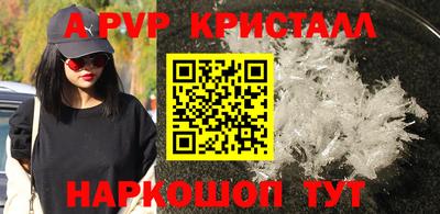 apvp Гагарин