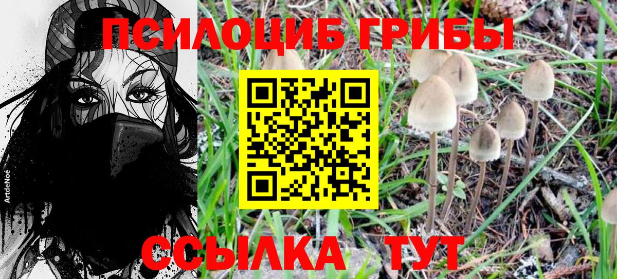 Лосино-Петровский  Псилоцибиновые грибы Cubensis  Галлюциногенные грибы MAGIC MUSHROOMS  Вход с VPN 