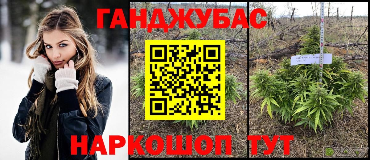 Конопля план  Канабис SATIVA & INDICA  Вход с VPN  Лосино-Петровский 